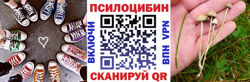 магазин    Звенигово  Псилоцибиновые грибы MAGIC MUSHROOMS 